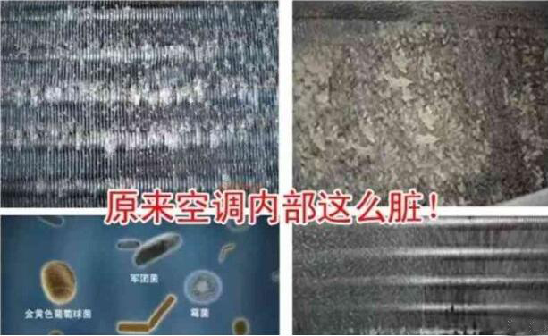 QQ截圖20180726165013.jpg QQ截圖20180726165013.jpg